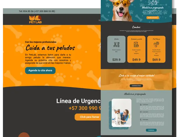 PetLab-prototipo-detalle