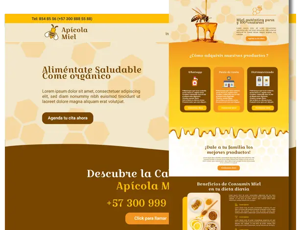 ApicolaMiel-prototipo-detalle