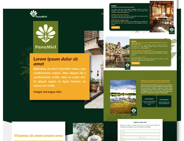 Panamiel formato de detalle del prototipo 01